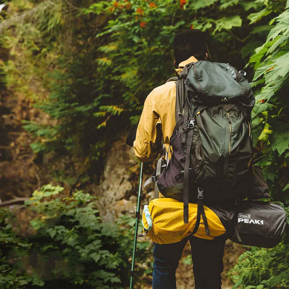 Coleman PEAK1 3-Person Backpacking Tent - Marigold/ Dark Stone - Marigold/ Dark Stone Coleman PEAK1 3-Person Backpacking Tent - Marigold/ Dark Stone - Marigold/ Dark Stone
