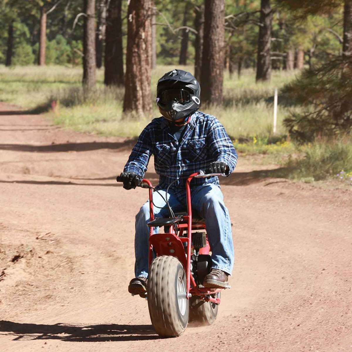 Coleman Powersports CT200U Trail 200 CARB Certified Mini Bike - Red - Red Coleman Powersports CT200U Trail 200 CARB Certified Mini Bike - Red - Red