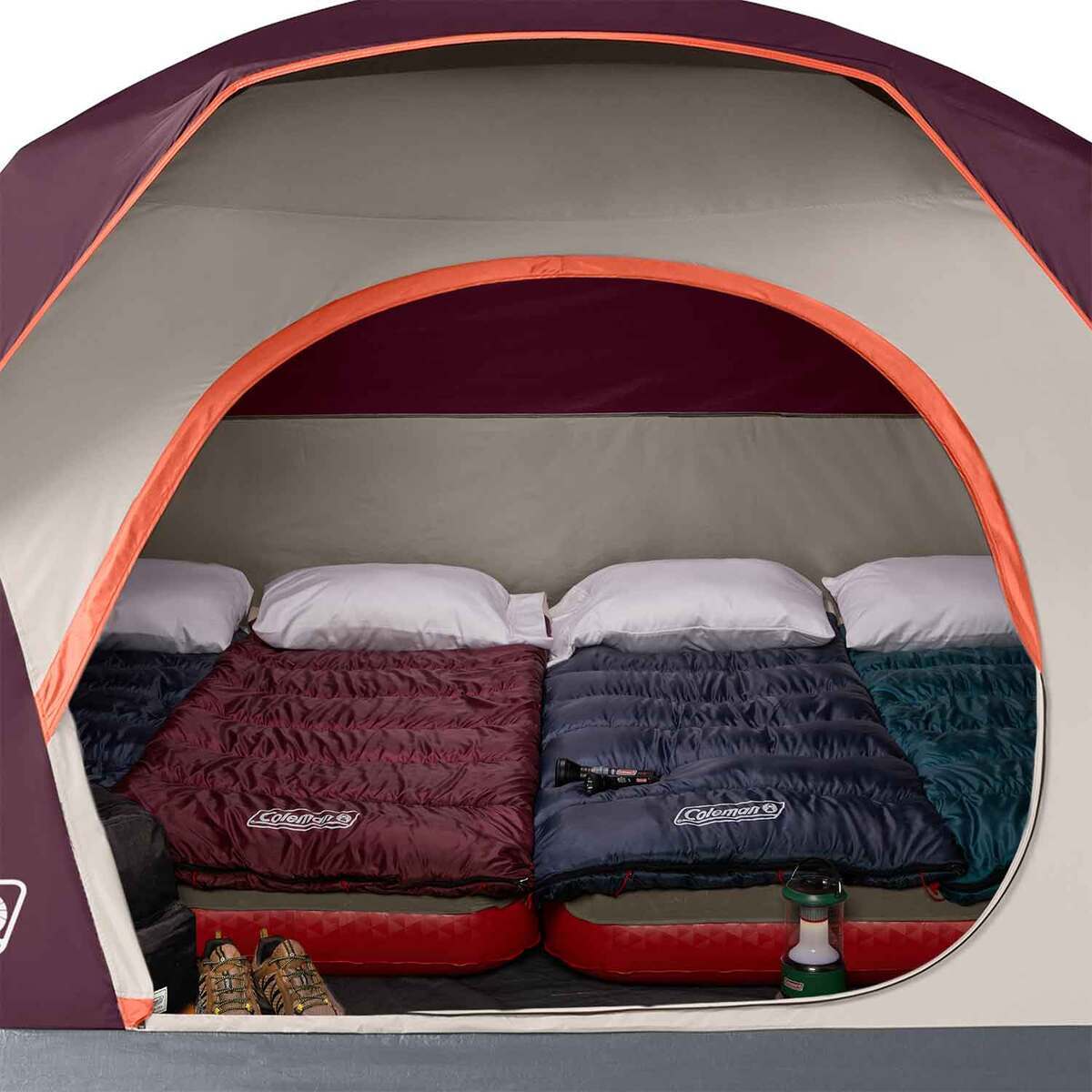 Coleman Skydome 6-Person Camping Tent - Blackberry - Blackberry Coleman Skydome 6-Person Camping Tent - Blackberry - Blackberry