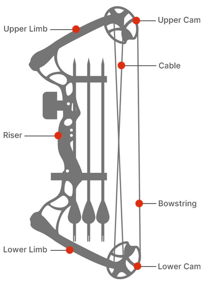 Compound bow elements illustration