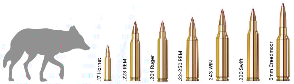 Hunting Caliber Chart | Sportsman's Warehouse