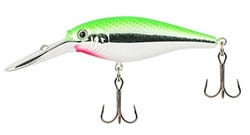 Crankbait/Plug