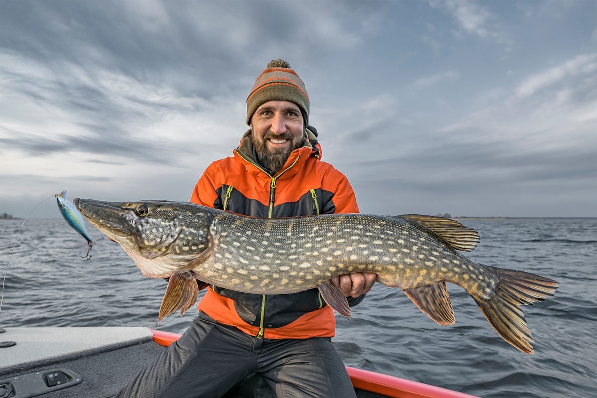 Man holding a Musky Fish caught with a crankbait