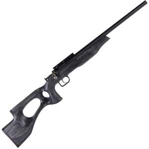 Crickett EX Thumb Hole Stock Blued Black Laminate Bolt Action Rifle - 22 Long Rifle