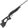 Crickett EX Thumb Hole Stock Stainless Black Bolt Action Rifle - 22 Long Rifle - Black
