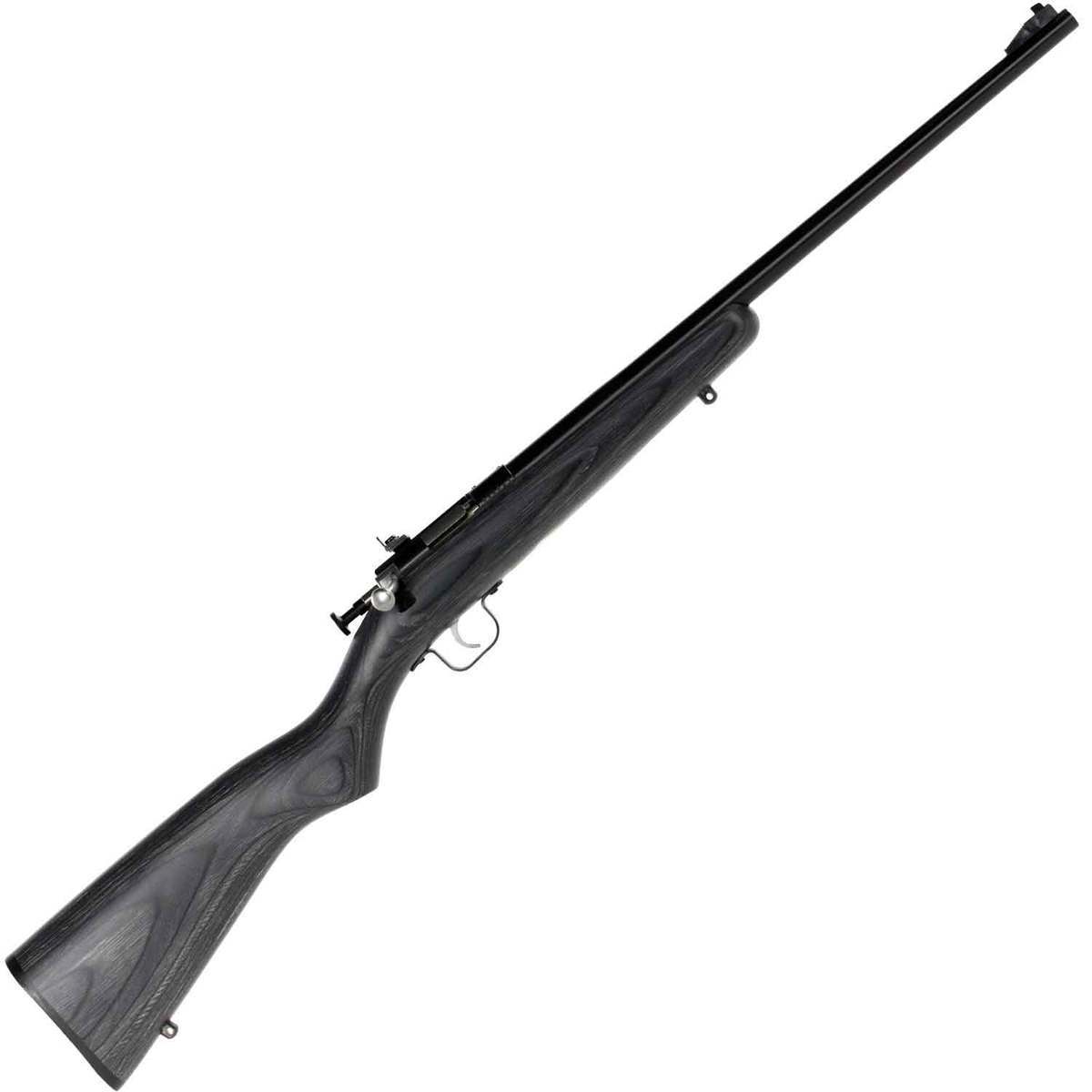 Crickett Black Laminate Stock Blued Compact Rifle - 22 Long Rifle ...
