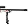 Crickett Precision American Flag Bolt Action Rifle - 22 Long Rifle - 16in - American Flag