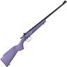 Crickett Synthetic Stock Compact Purple Synthetic Blued Bolt Action Rifle - 22 WMR (22 Mag) - 16.1in