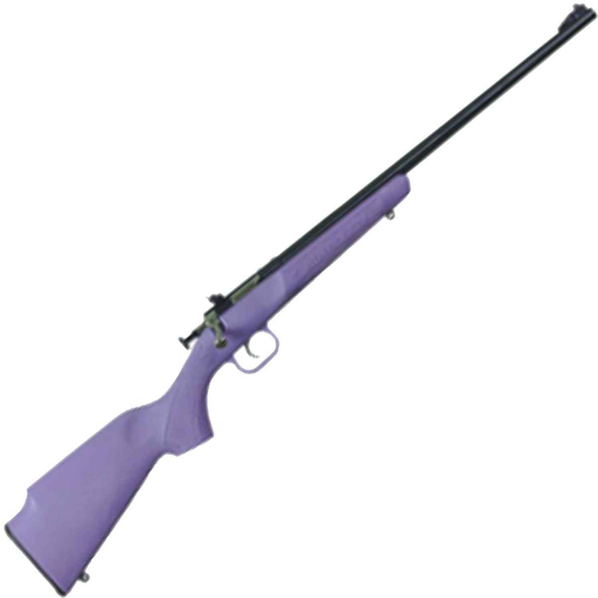 Crickett Synthetic Stock Compact Purple Synthetic Blued Bolt Action ...
