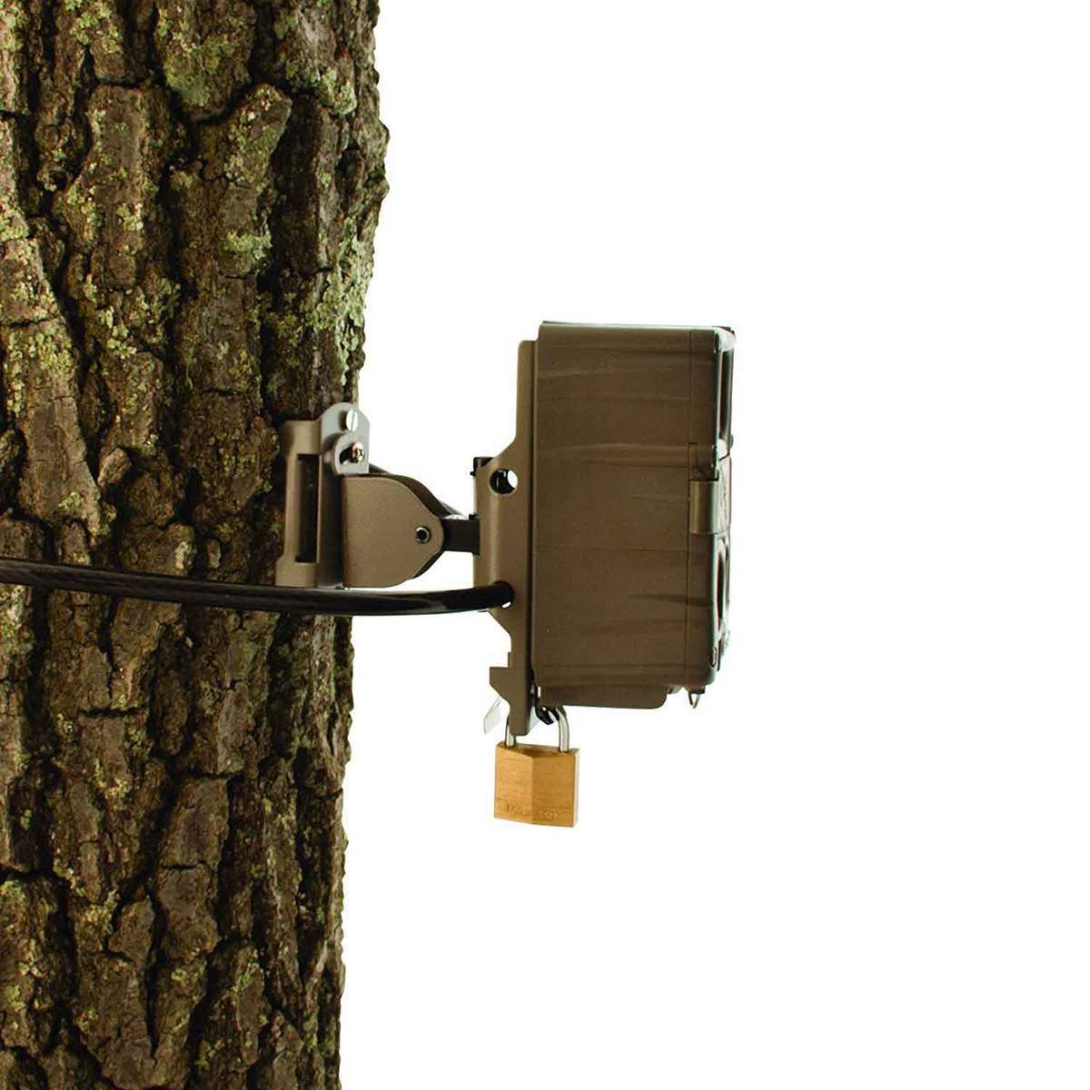 Cuddeback Genius PTL Trail Camera Mount - Brown Cuddeback Genius PTL Trail Camera Mount - Brown