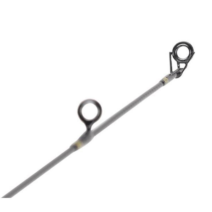 Daiwa BG Salt Water Spinning Combo Daiwa BG Salt Water Spinning Combo