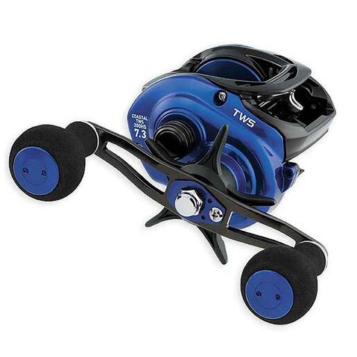 Daiwa Coastal TW Low Profile Bait Casting Reel – Blue 200