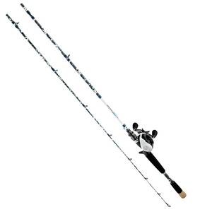 Daiwa Procaster II Baitcast Combo1