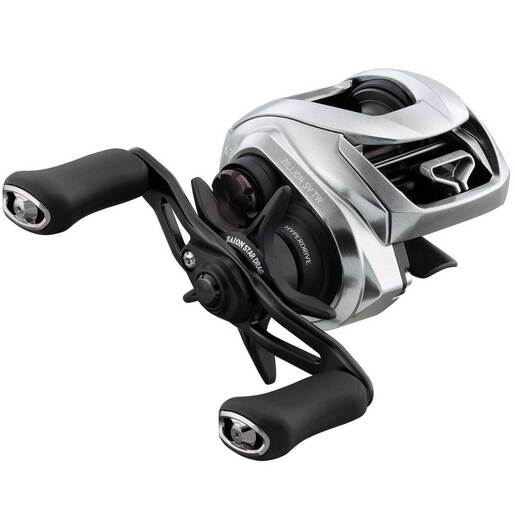 Daiwa Zillion SV TW Casting Reel – Gray 100H