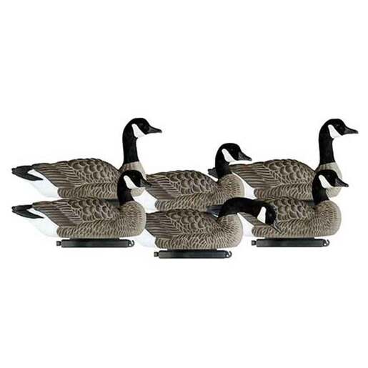 Dakota Decoy X-Treme Lesser Canada Goose Floaters Goose Decoys