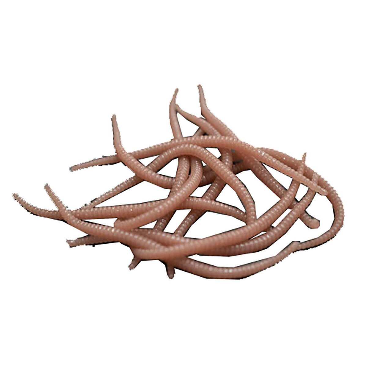 Death Roe Convict Crawler Soft Worm Death Roe Convict Crawler Soft Worm