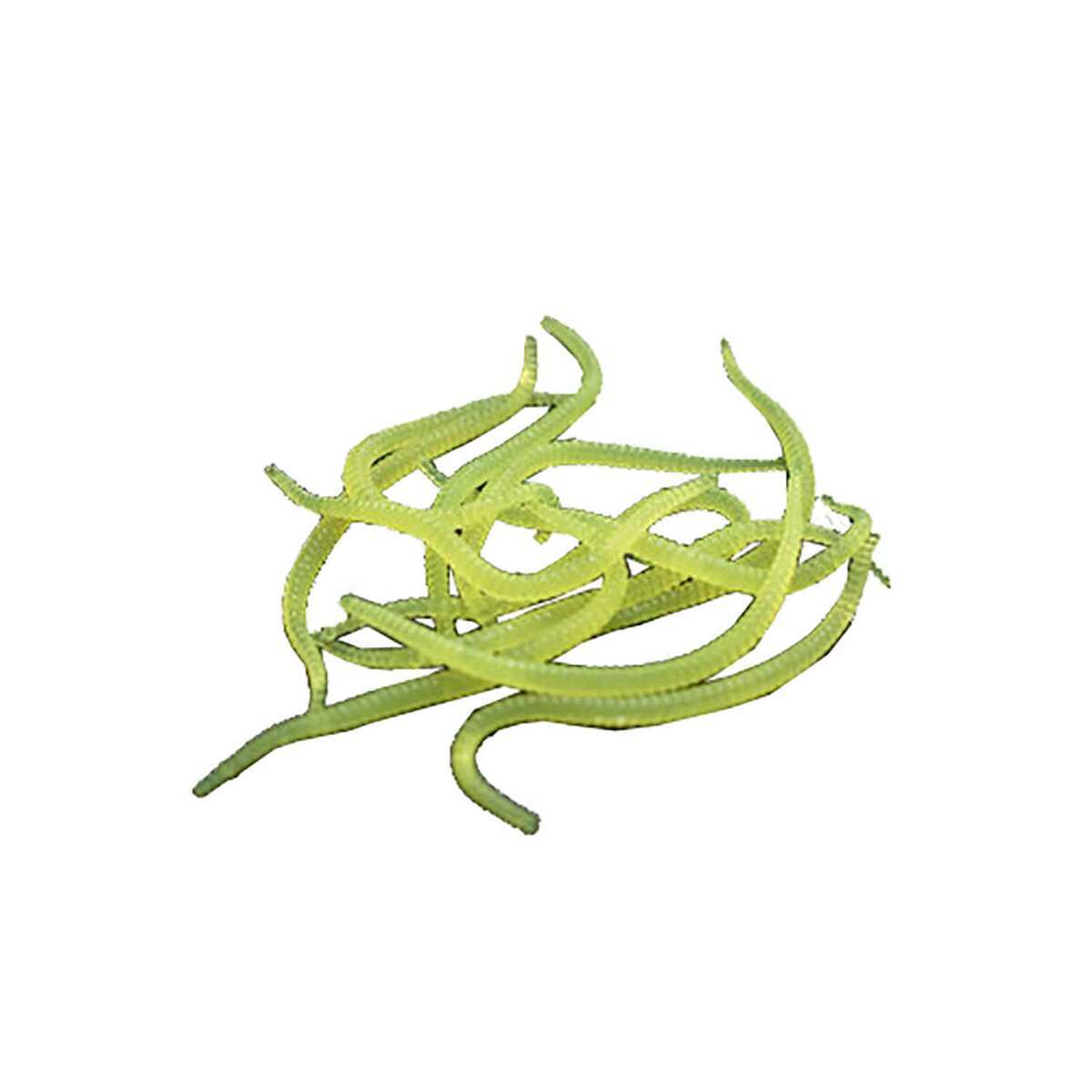 Death Roe Convict Crawler Soft Worm Death Roe Convict Crawler Soft Worm