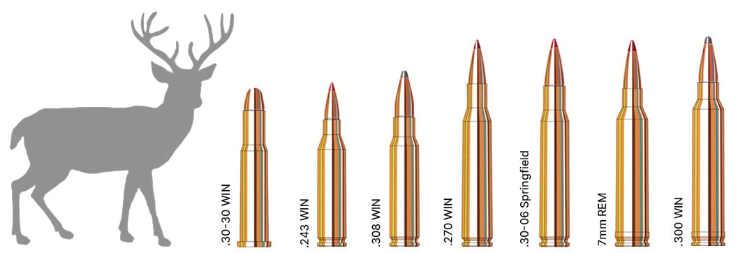 Hunting Caliber Chart | Sportsman's Warehouse