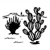 Desert with cactus