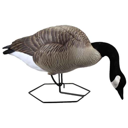 DOA Dominator Series Full Body Feeder Goose Decoys – 4 Pack