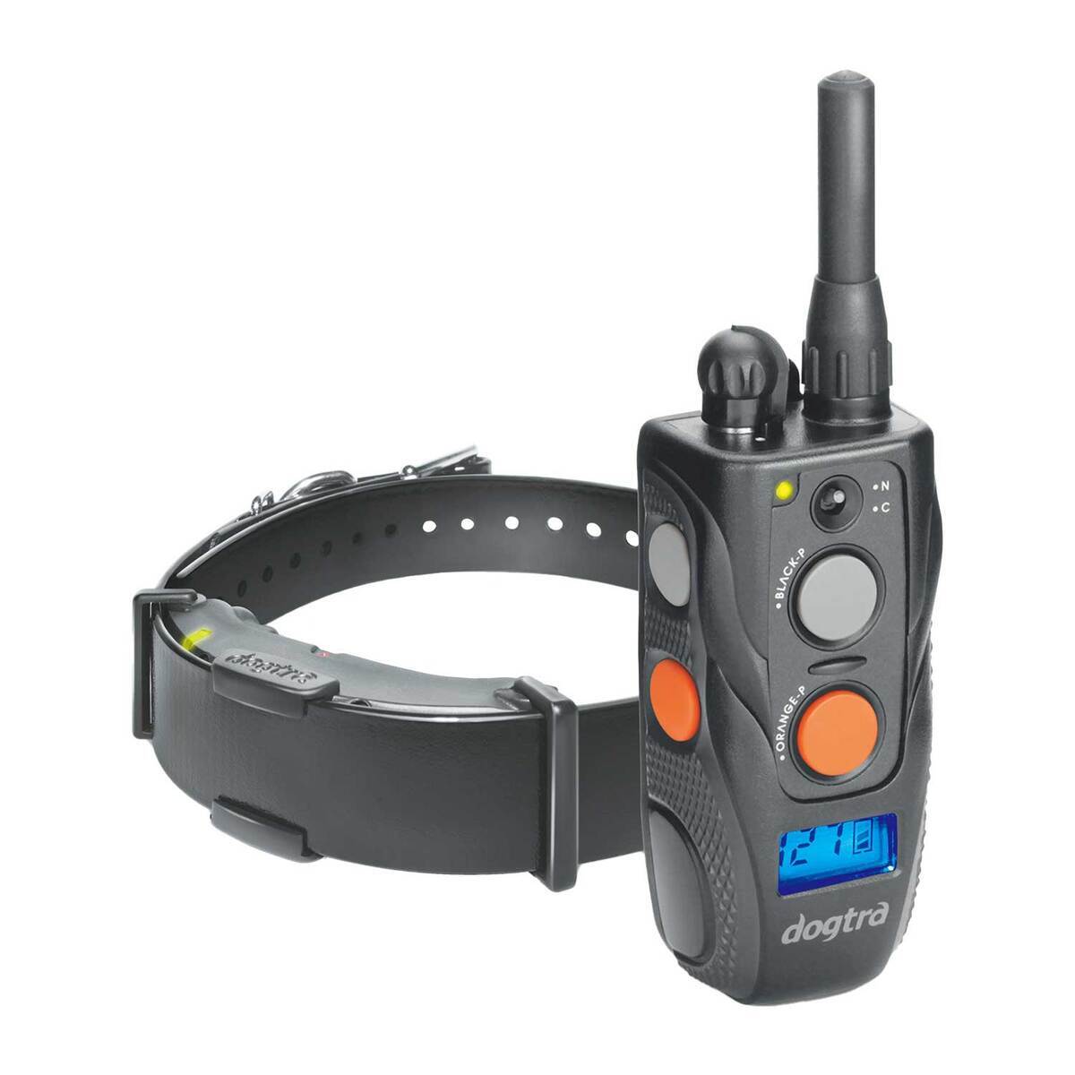 Dgtra Dogtra ARC Electronic Training Collar | Sportsman's Warehouse