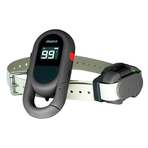 Dogtra Cue Gen2 Electronic Training Collar - Gray
