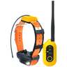 Dogtra Pathfinder2 GPS Electric Dog Collar - Orange