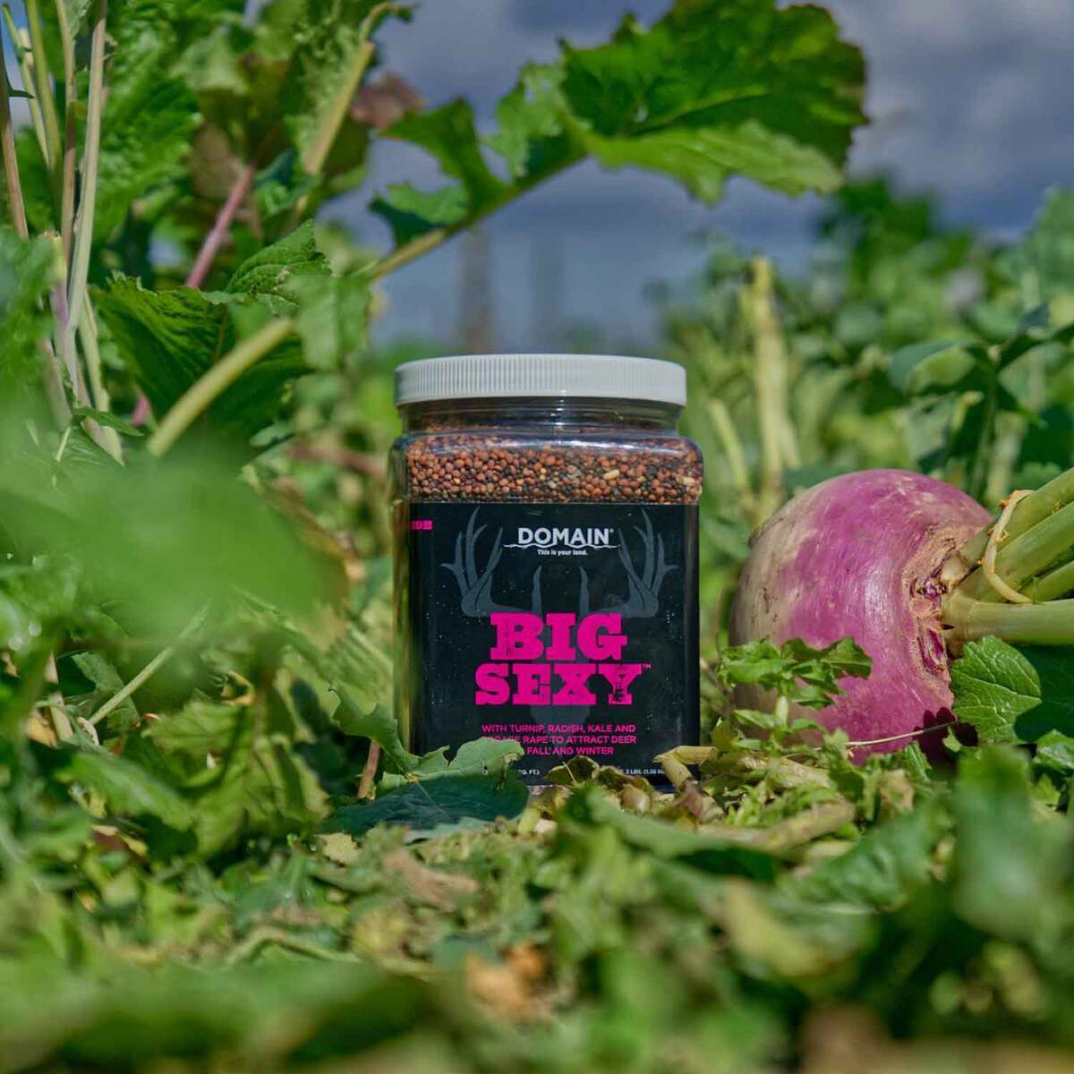 Domain Outdoor Big Sexy Deer Food Plot Mix Domain Outdoor Big Sexy Deer Food Plot Mix