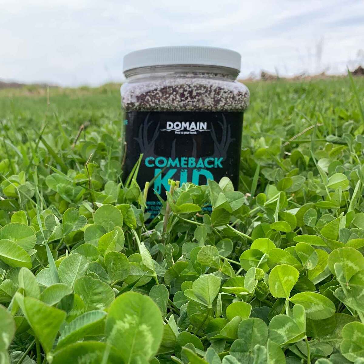 Domain Outdoor Comeback Kid Deer And Turkey Food Plot Mix Domain Outdoor Comeback Kid Deer And Turkey Food Plot Mix