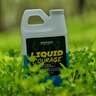 Domain Outdoor Liquid Courage Foliar Fertilizer - 1/2 Gallon - 1/2 Gallon