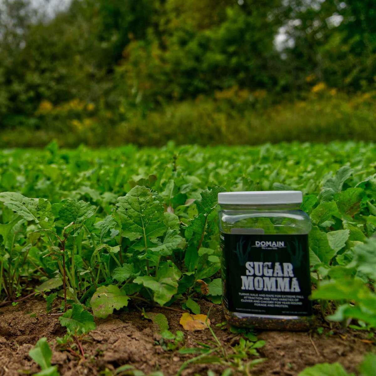 Domain Outdoor Sugar Momma Deer Food Plot Mix Domain Outdoor Sugar Momma Deer Food Plot Mix