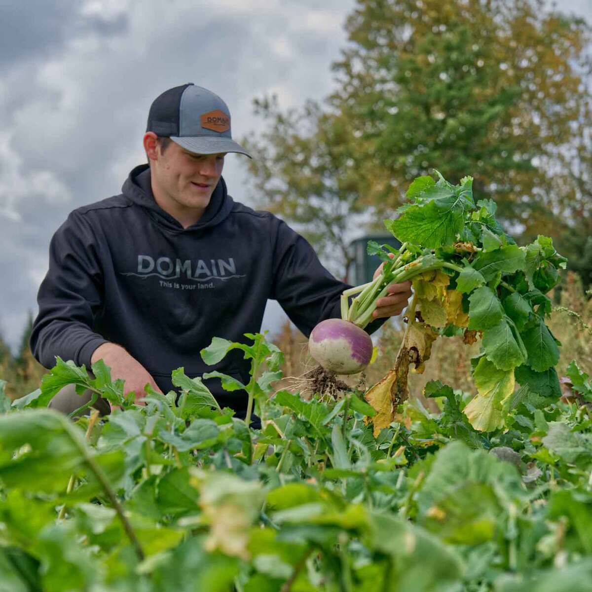 Domain Outdoor Sugar Momma Deer Food Plot Mix Domain Outdoor Sugar Momma Deer Food Plot Mix
