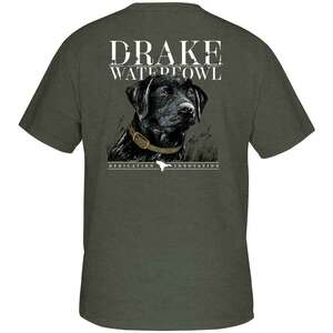 Drake Men's Black Lab Collar Short Sleeve Casual Shirt