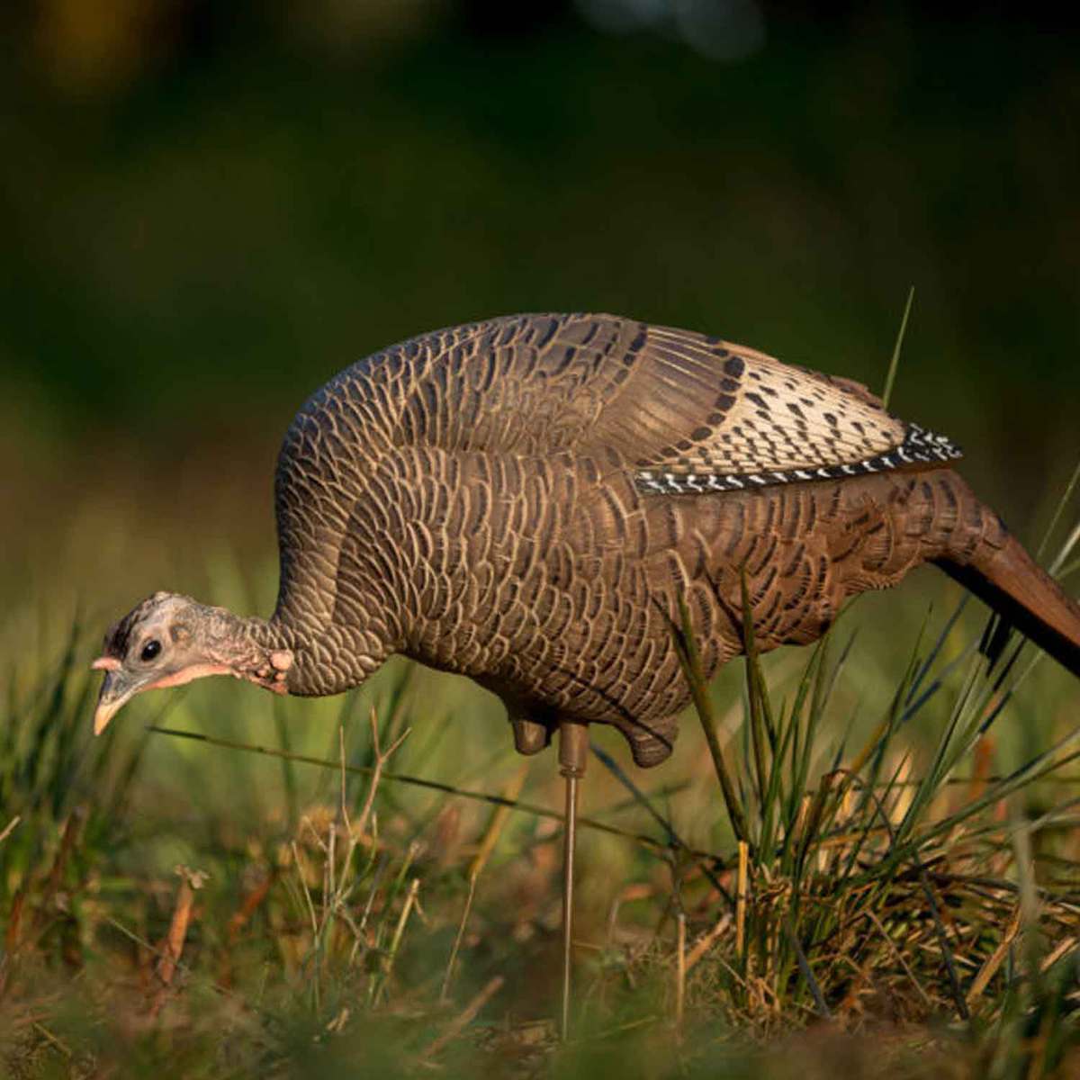 DSD Feeding Hen Turkey Decoy DSD Feeding Hen Turkey Decoy