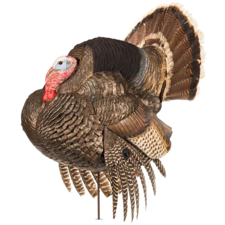 4 Day Turkey Hunting Sale