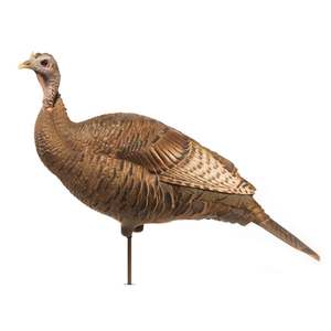 DSD Upright Hen Turkey Decoy