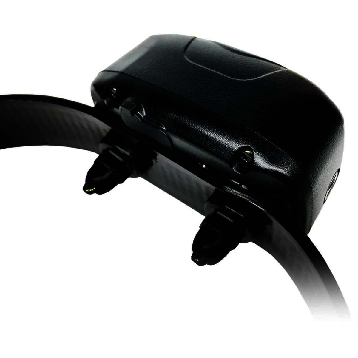 DT Systems D.O.G. Director 700 Electric Collar - Black - Black 6in - 22in DT Systems D.O.G. Director 700 Electric Collar - Black - Black 6in - 22in