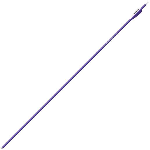 Easton Genesis Aluminum Arrows – 36 Pack – Purple