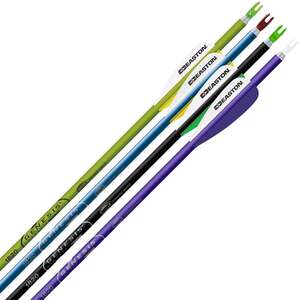 Easton Genesis Aluminum Arrows - 72 Pack