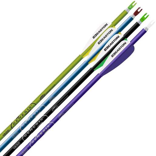 Easton Genesis Aluminum Arrows – 72 Pack – Purple/Tea/Black/Green