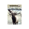 Elk Elk Callin Sound Success D