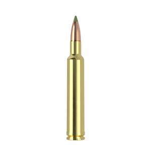 Nosler Expansion Tip 300 Weatherby Magnum 180gr E-Tip Rifle Ammo - 20 Rounds