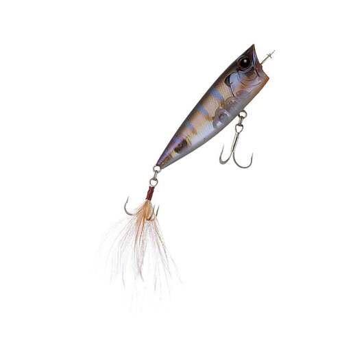 Evergreen Popper Topwater Hard Bait – Magic Gill 6