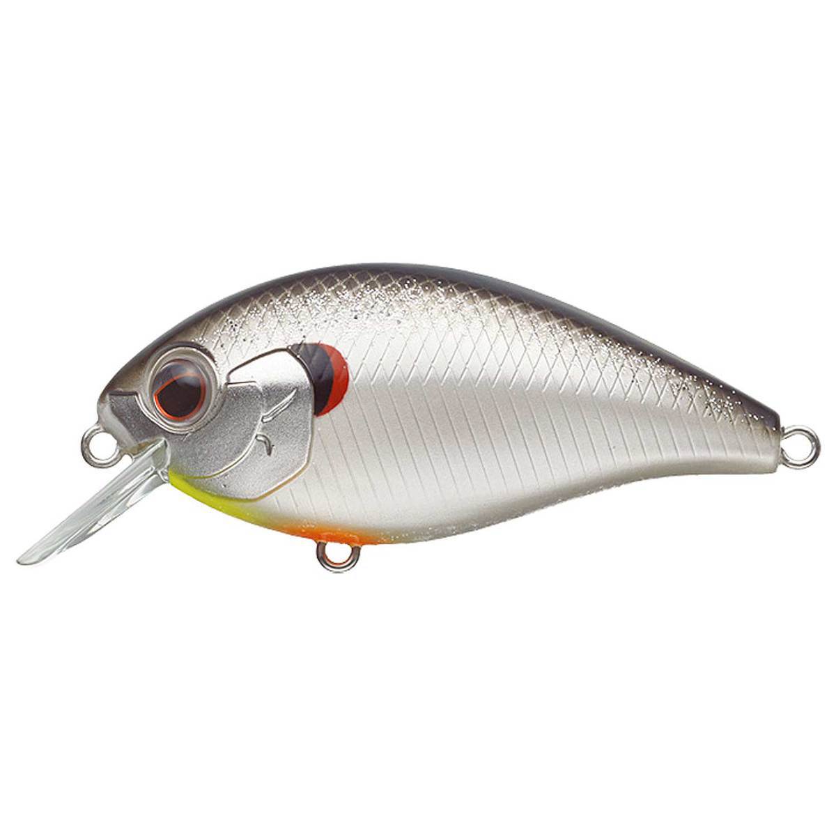 Evergreen SH-3 Shallow Diving Crankbait - BIg Bite Shad, 11/16oz, 2-3/4in, 2-3ft - BIg Bite Shad Evergreen SH-3 Shallow Diving Crankbait - BIg Bite Shad, 11/16oz, 2-3/4in, 2-3ft - BIg Bite Shad