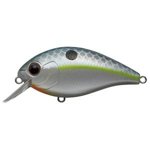 Evergreen SH-3 Shallow Diving Crankbait - Queen Shad, 11/16oz, 2-3/4in, 2-3ft