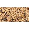 Evolved Mean Beans Pro Seed - 10lbs