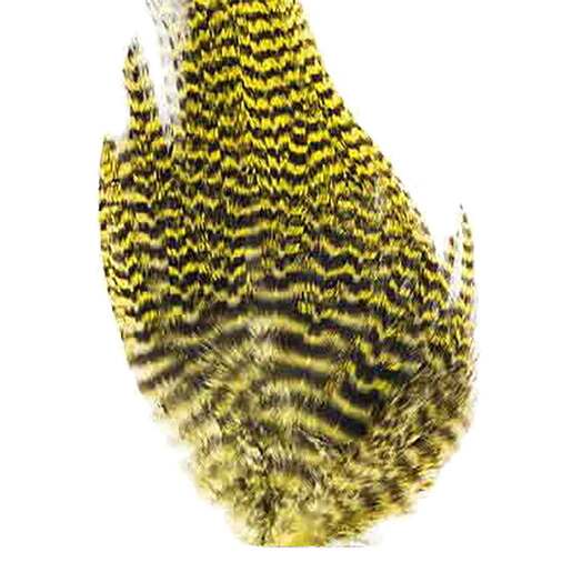 Ewing Grizzly Bugger Patch - Orange