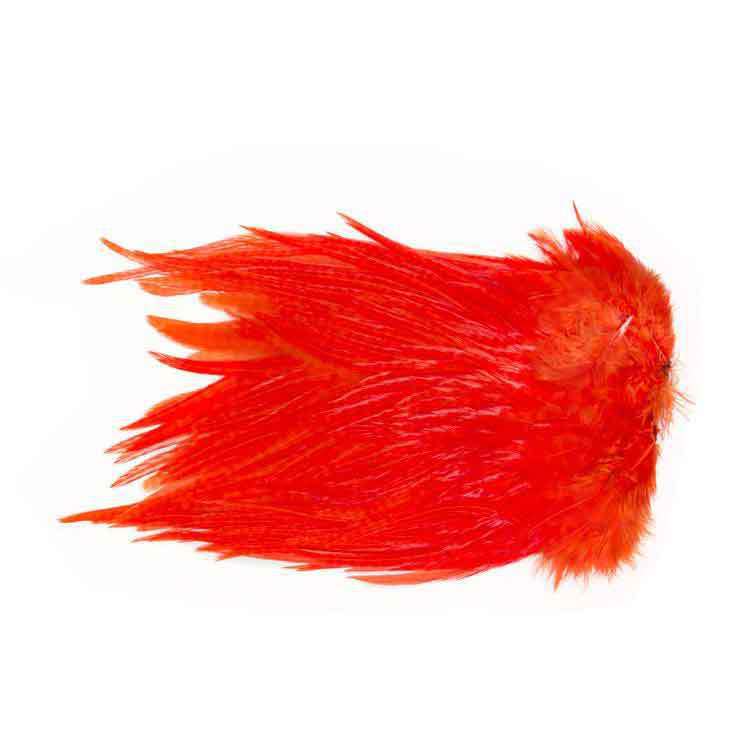 Ewing Saddle Hackle - Orange Ewing Saddle Hackle - Orange
