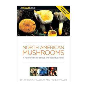 Falcon Guides North American Mushrooms