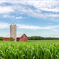 Farmland Region